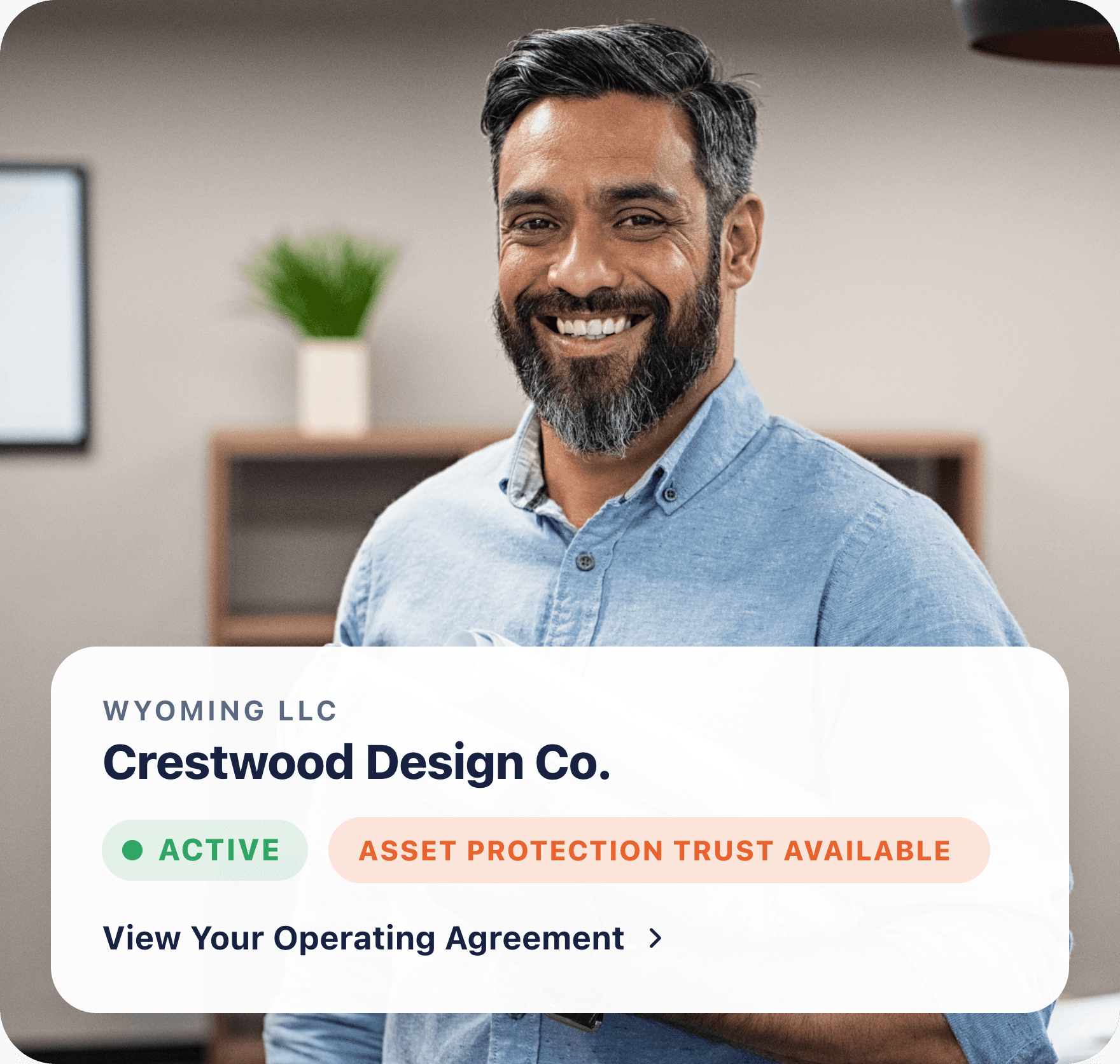 Wyoming LLC dashboard showing active status and Asset Protection Trust available